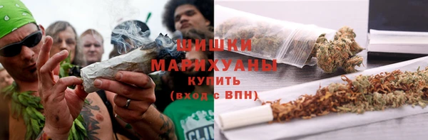 молекула духа Бронницы