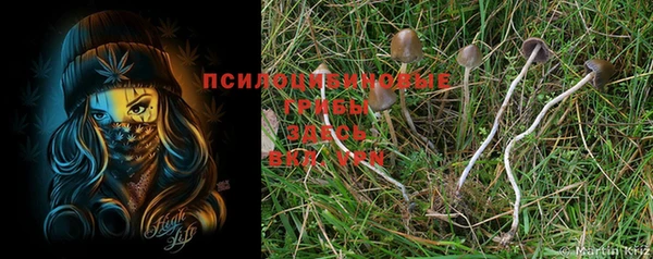 молекула духа Бронницы