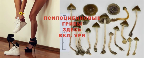 молекула духа Бронницы