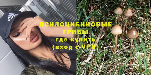 а пвп мука Бородино