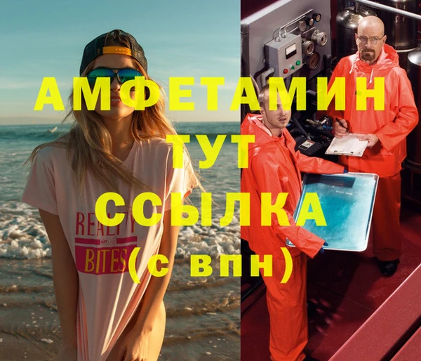 молекула духа Бронницы
