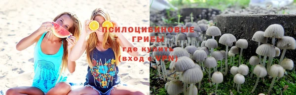 молекула духа Бронницы