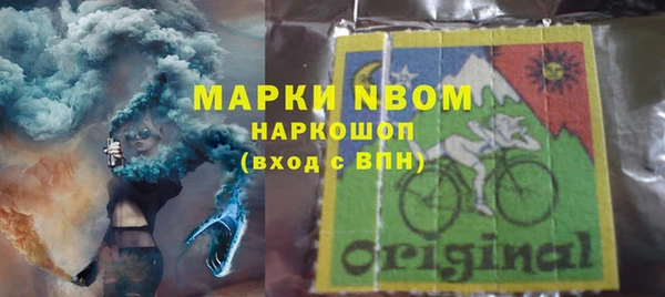 молекула духа Бронницы