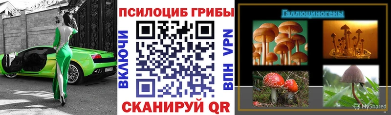 Псилоцибиновые грибы мухоморы  hydra как зайти  Гусев 